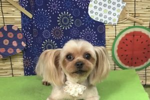 ８月のお友達☆
