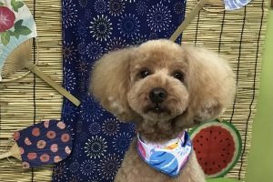 ８月のお友達☆