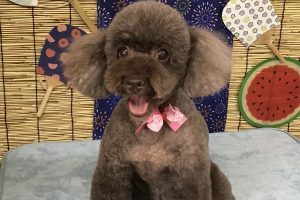 ８月のお友達☆