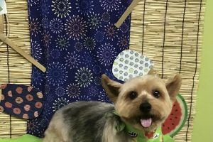 8月のお友達☆