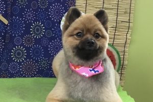 8月のお友達☆
