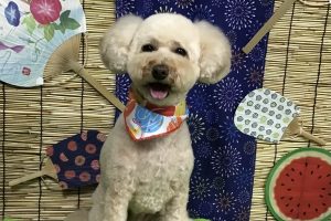 ８月のお友達☆