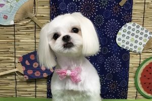 8月のお友達☆