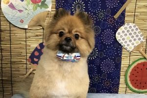 ８月のお友達☆