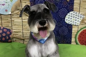 ８月のお友達☆