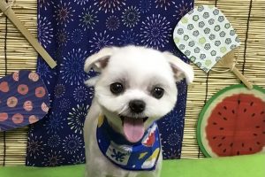 8月のお友達☆