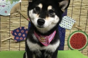 ８月のお友達☆