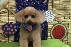8月のお友達☆