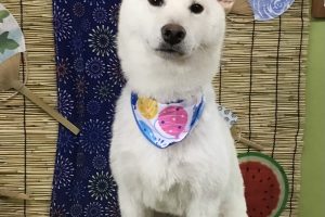 ８月のお友達☆