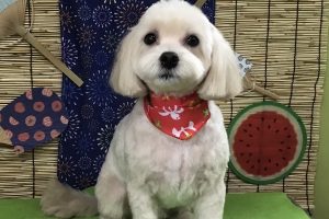 ８月のお友達☆