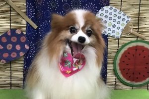 8月のお友達☆