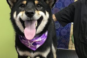 ８月のお友達☆