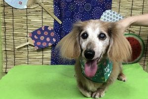 8月のお友達☆