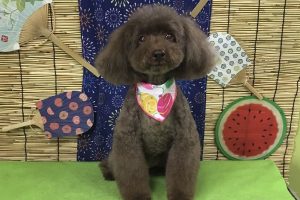 ８月のお友達☆