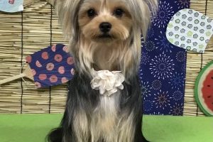 8月のお友達☆