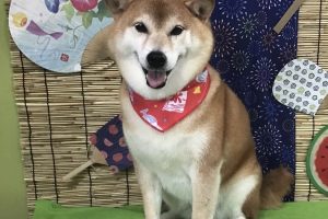 8月のお友達☆