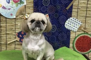 ８月のお友達☆