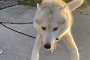お泊り☆