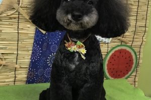8月のお友達☆
