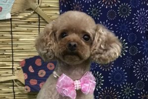 8月のお友達☆