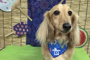 ８月のお友達☆