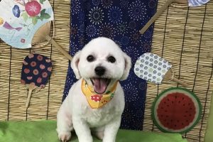 ８月のお友達☆