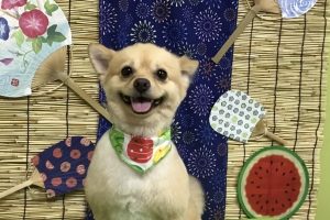 ８月のお友達☆