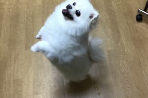 お泊まり中☆