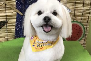 ８月のお友達☆