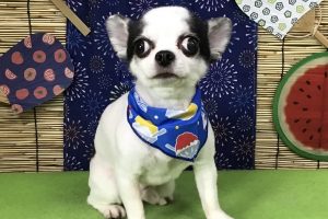 8月のお友達☆