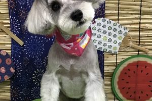 8月のお友達☆