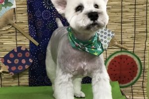 ８月のお友達☆