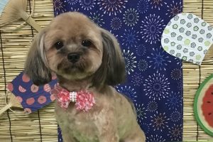 8月のお友達☆