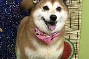 ８月のお友達☆