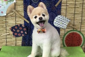 8月のお友達☆