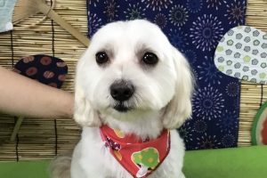 8月のお友達☆