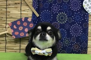 8月のお友達☆