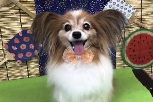 8月のお友達☆