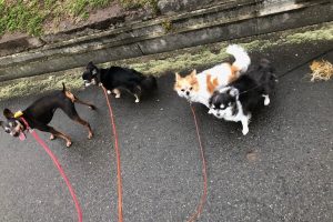 お泊まり中☆