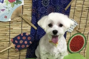 ８月のお友達☆