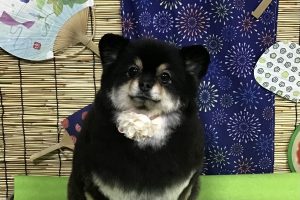 ８月のお友達☆