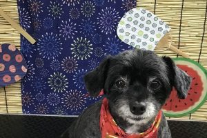 ８月のお友達☆