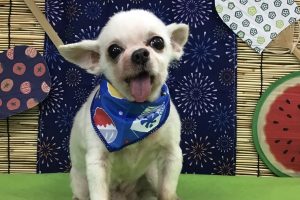 ８月のお友達☆