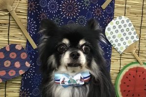 8月のお友達☆