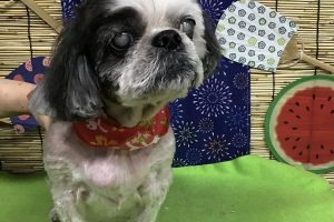 ８月のお友達☆