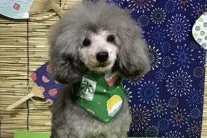お泊り☆