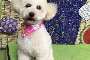 ８月のお友達☆