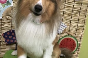 ８月のお友達☆