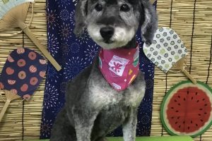 8月のお友達☆