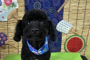 ８月のお友達☆
